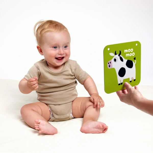 BP - HIGH CONTRAST BABY CARDS 6M(BAN76277) 1037242.3.webp
