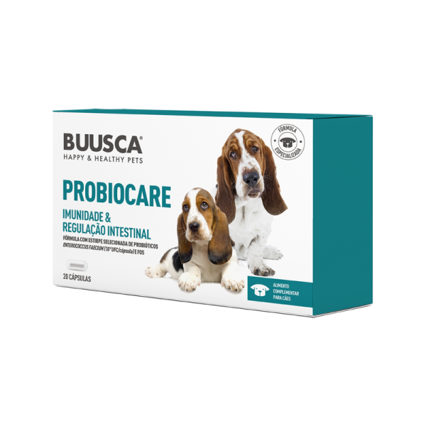 BUUSCA PROBIOCARE CÃO 20 CÁPSULAS