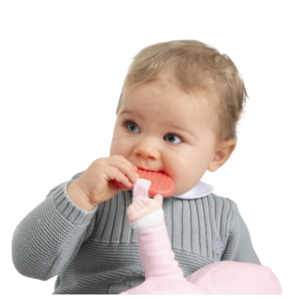 image-removebg-preview (21).png